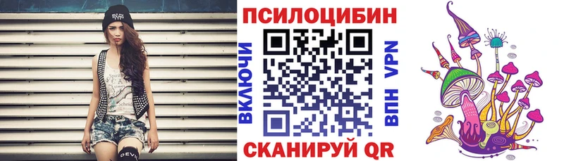 где продают наркотики  Балахна  нарко площадка клад  Псилоцибиновые грибы мицелий 